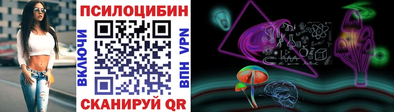 магазин продажи наркотиков  Кропоткин  Галлюциногенные грибы GOLDEN TEACHER 